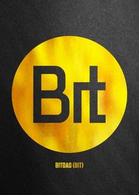 BIT Coin