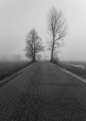 Empty road