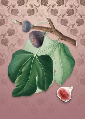 Black Fig on Dusty Pink