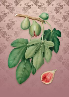 Vintage Fig on Dusty Pink