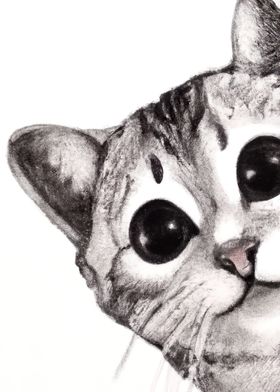 Cute Cat Drawing