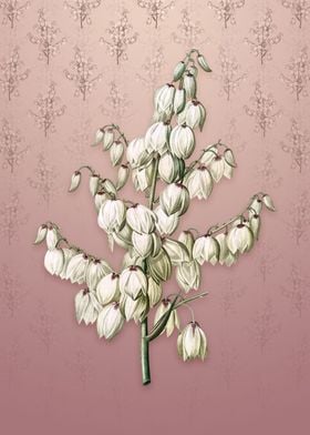 Aloe Yucca on Dusty Pink