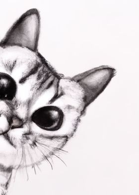 Cute Cat Drawing