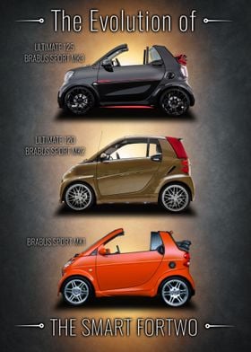 Smart Fortwo Evolution