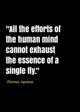 Thomas Aquinas quotes 