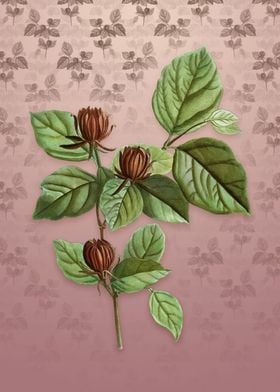 Carolina Allspice Flower