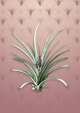 Pineapple on Dusty Pink