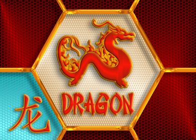 Chinese zodiac  DRAGON