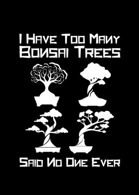 I Have too many Bonsai