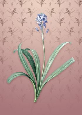 Vintage Spanish Bluebell