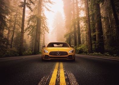 Mercedes Benz AMG