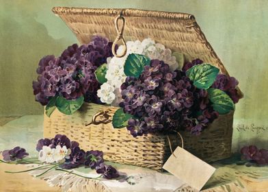 Invoice of violets 1895