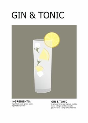 gin tonic cocktail