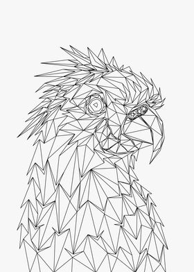 Cockatoo Lowpoly Wireframe