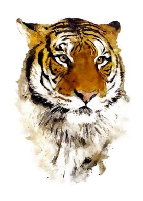 Majestic Tiger Watercolor