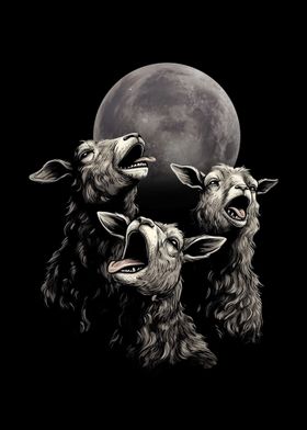 Sheeps Howling