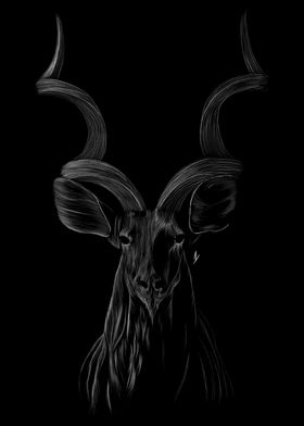 002 Antelope