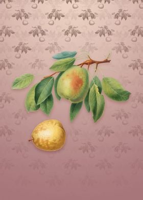 Vintage Pear on Dusty Pink