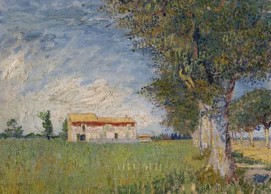 Farmhouse in a wheat field