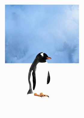 Gentoo Penguin