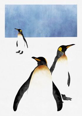 King Penguin