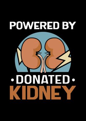 Kidney Transplant Survivor