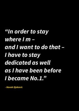 Novak Djokovic quotes 