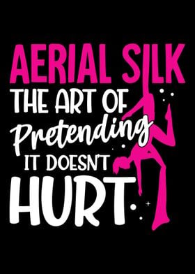 Aerial Silk Aerialist