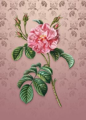 Vintage Pink Wild Rose