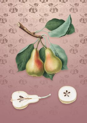 Vintage Pear on Dusty Pink