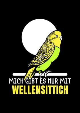 German Budgie