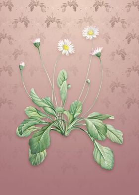 Vintage Daisy Flowers