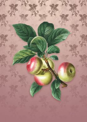 Apple on Dusty Pink