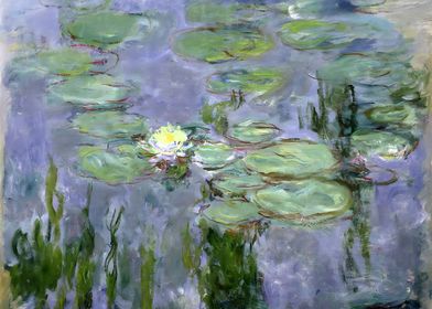 Nympheas Claude Monet