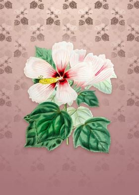 Vintage Marsh Hibiscus