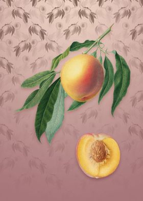 Peach on Dusty Pink