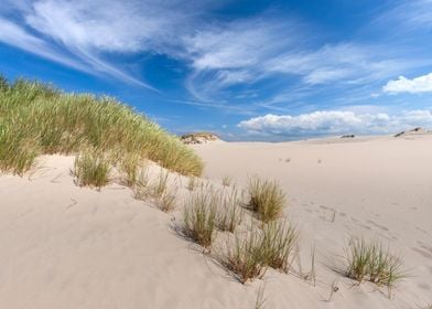 Landscapes with dunes