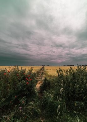 Dark Skies in Spring