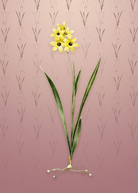 Vintage Ixia Fusco Citrina