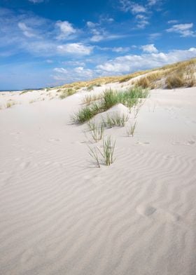 Landscapes with dunes