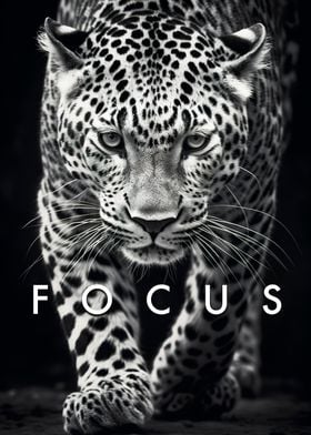 Focus