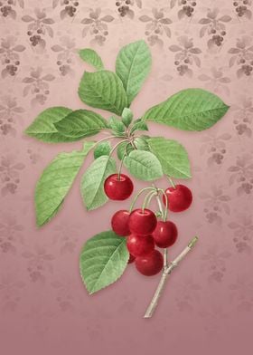 Cherry on Dusty Pink