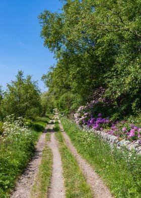 Path to the Summer Sun