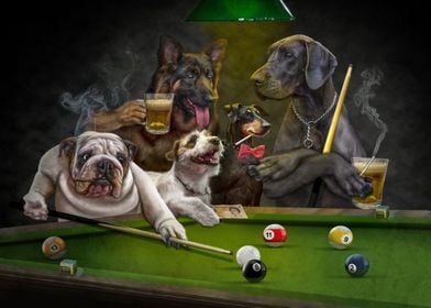 Funny Dog Playing Billiar 