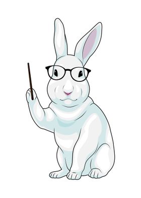 Rabbit Teacher Pointer