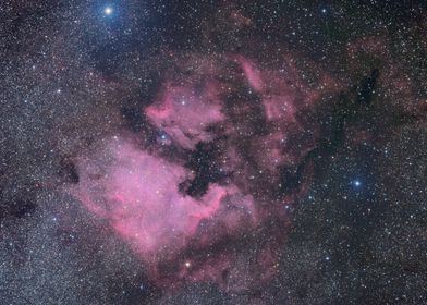 North American Nebula