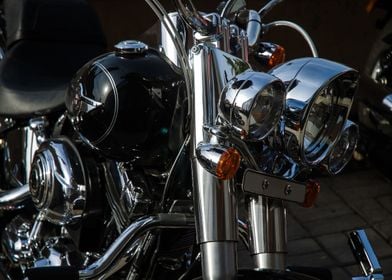 Profile of Harley Davidson