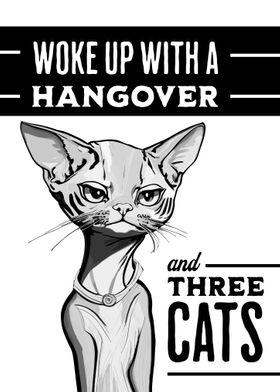 Funny Hangover Cat