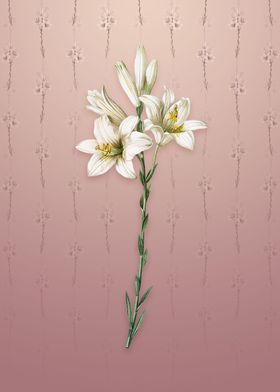 Vintage Madonna Lily