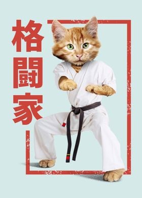 Karate Cat